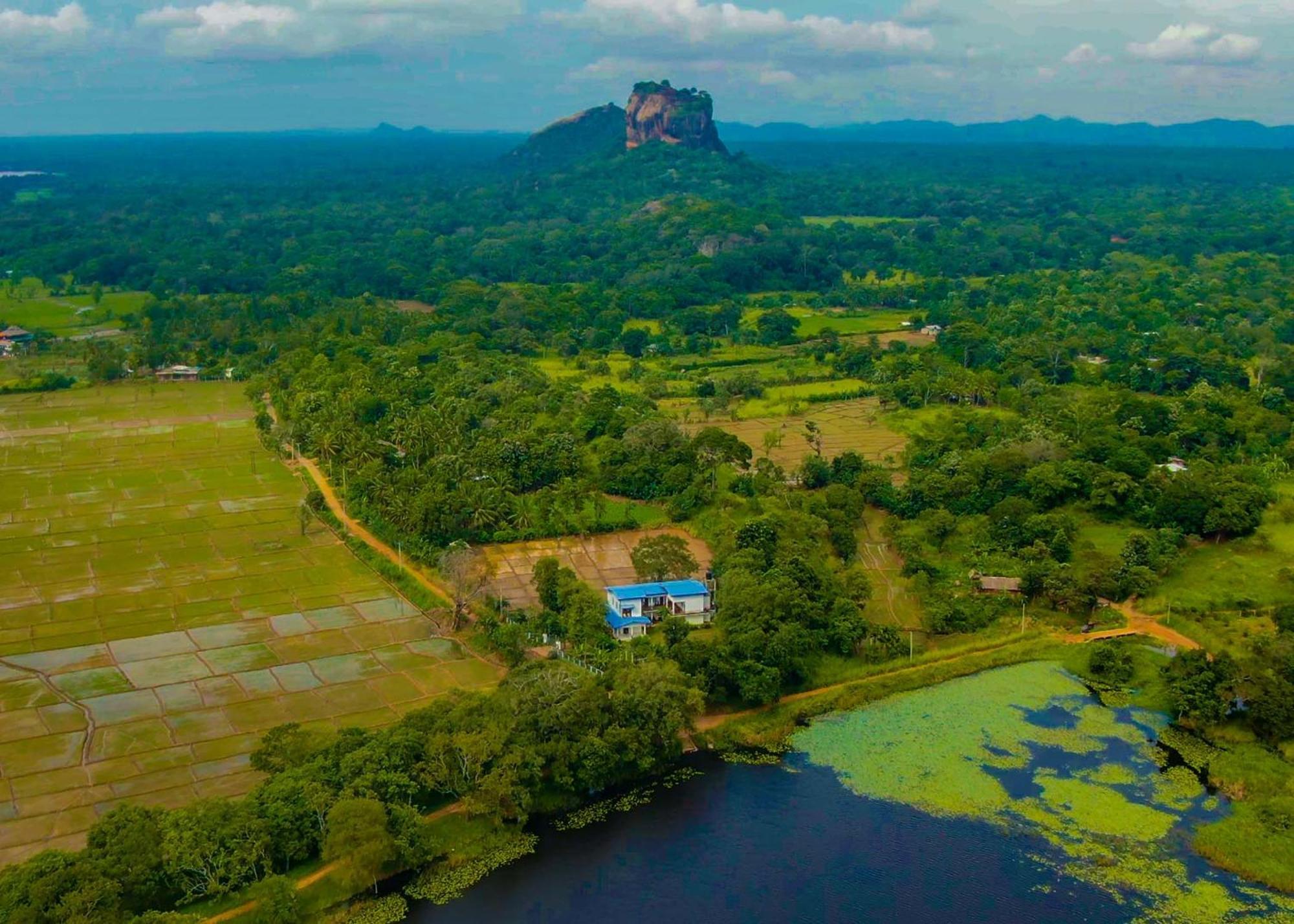 Bungalow Resort - Sigiriya Bagian luar foto