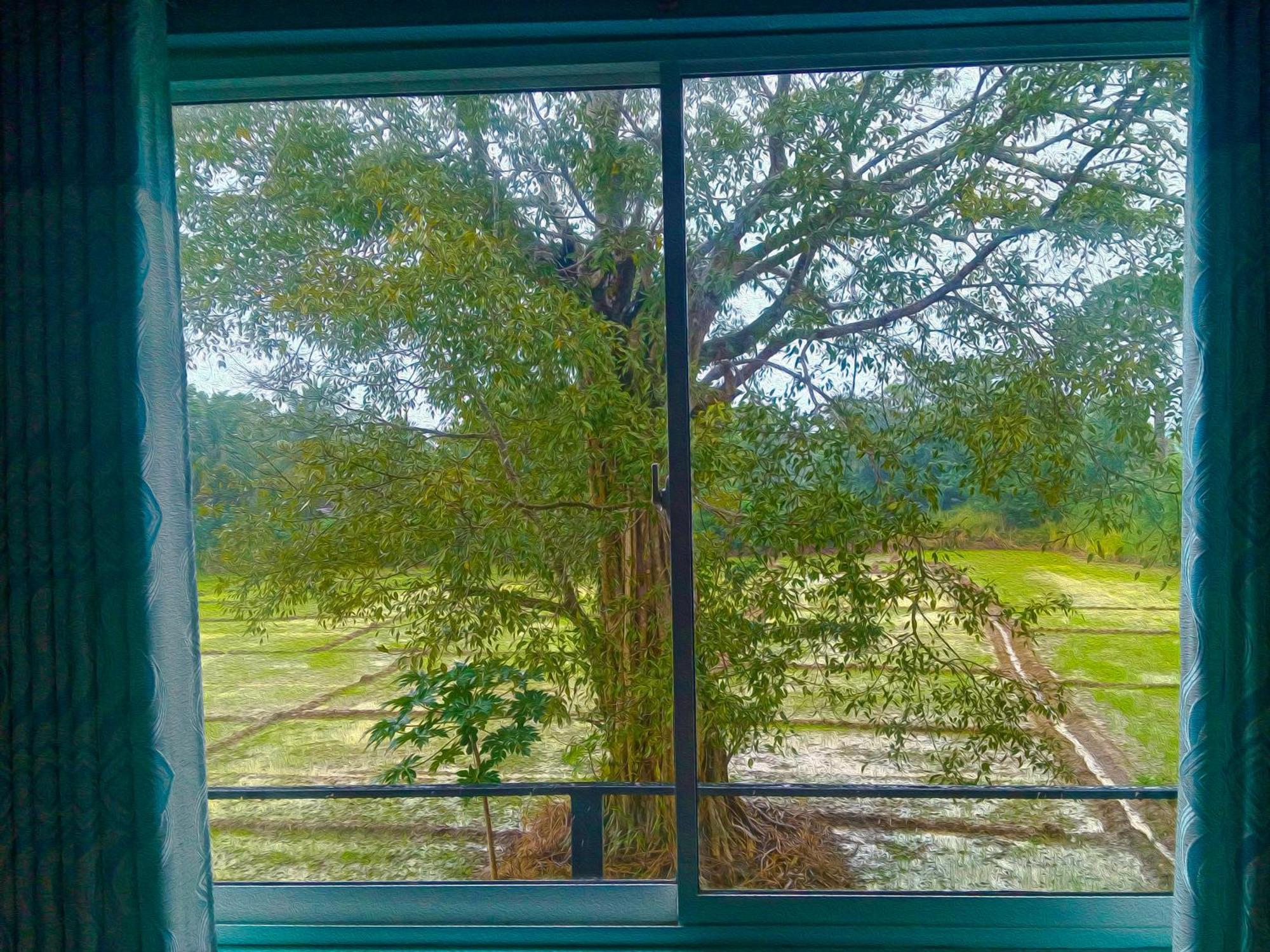 Bungalow Resort - Sigiriya Bagian luar foto