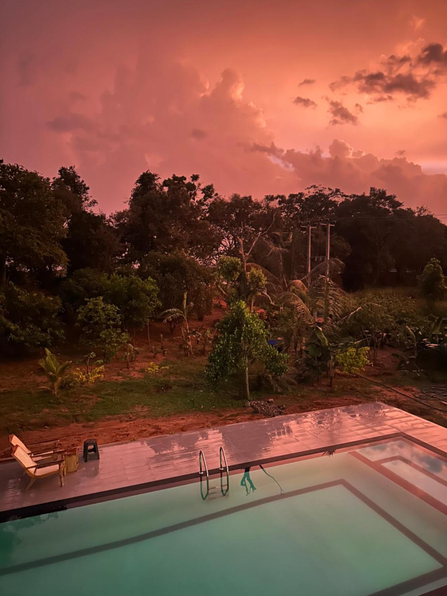 Bungalow Resort - Sigiriya Bagian luar foto
