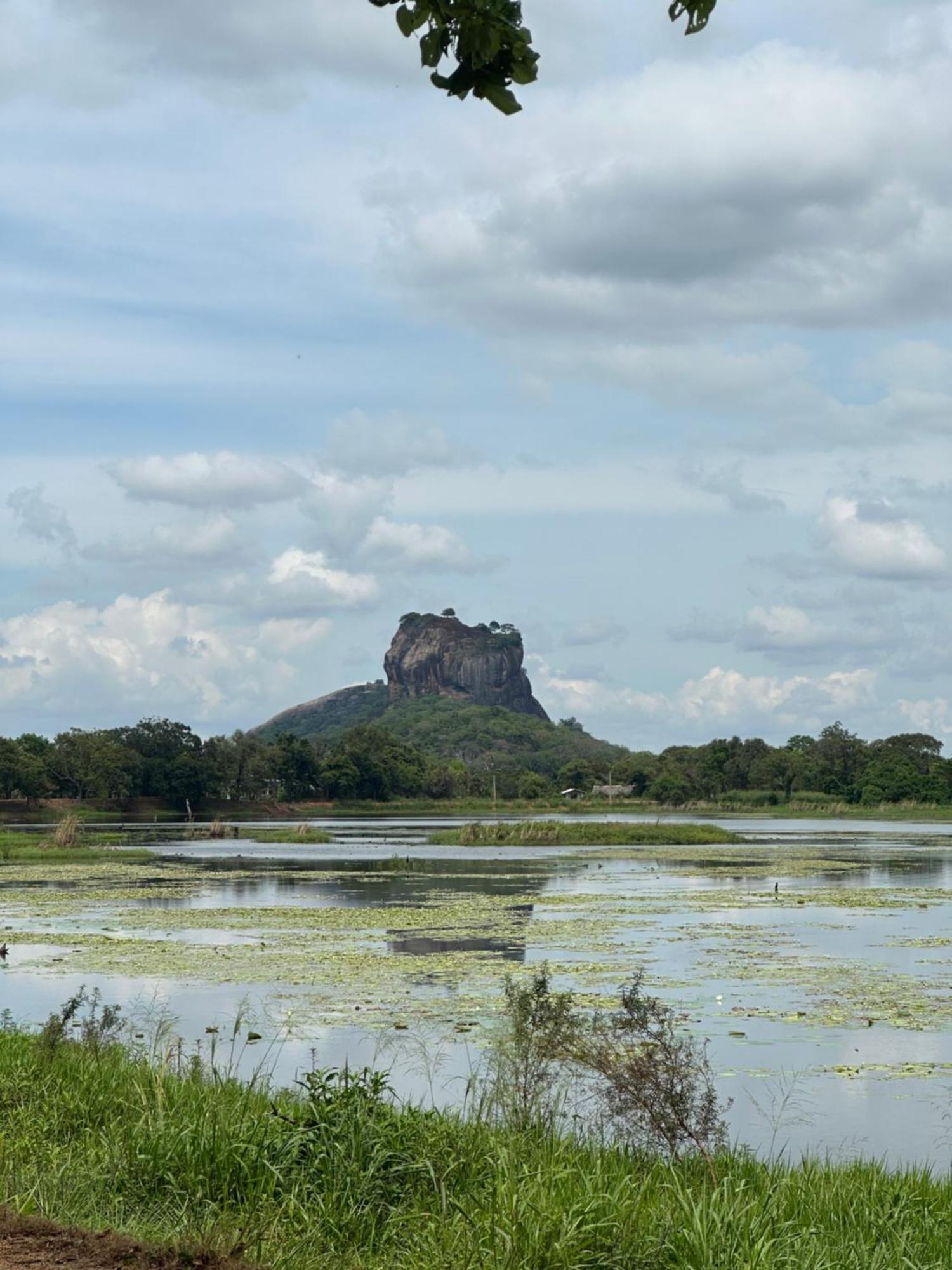 Bungalow Resort - Sigiriya Bagian luar foto
