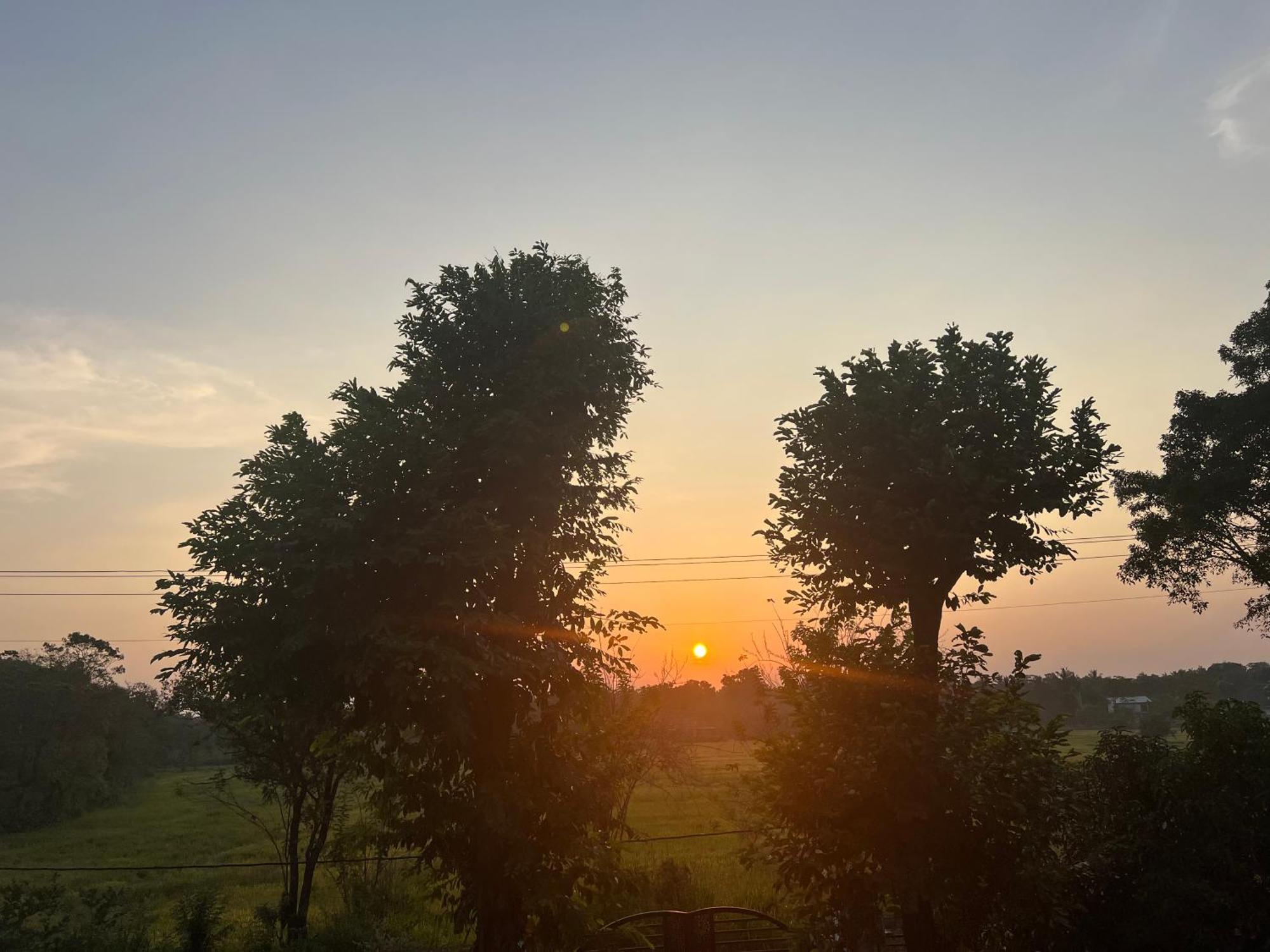 Bungalow Resort - Sigiriya Bagian luar foto